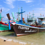 Fishing Tour