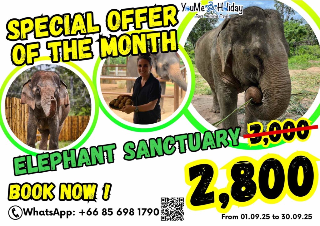 Elephant Sanctuary